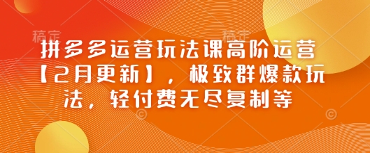 拼多多运营玩法课高阶运营【2月更新】，极致群爆款玩法，轻付费无尽复制等-优优云网创