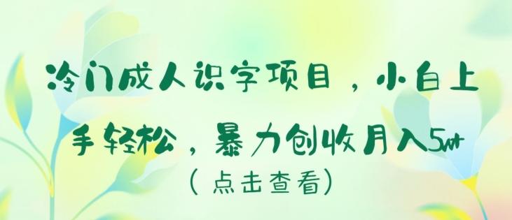 冷门成人识字项目，小白上手轻松，暴力创收月入5w+【揭秘】-优优云网创