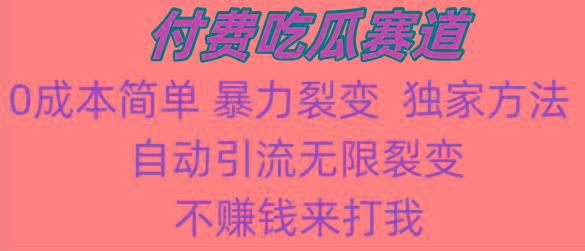 吃瓜付费赛道，暴力无限裂变，0成本，实测日入700+！！！-优优云网创