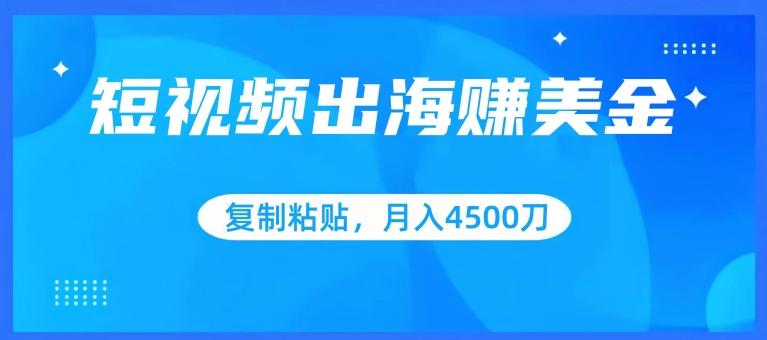 短视频出海赚美金，复制粘贴批量操作，小白轻松掌握，月入4500美刀【揭秘】-优优云网创