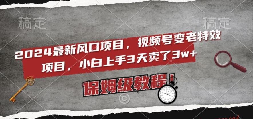 2024最新风口项目，视频号变老特效项目，电脑小白上手3天卖了3w+，保姆级教程【揭秘】-优优云网创