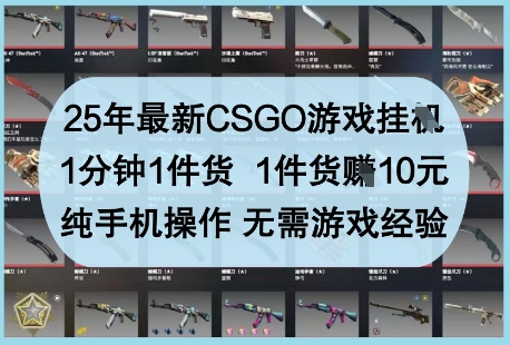 25年最新CSGO游戏挂G，1分钟1件货，1件货挣10元，纯手机操作，无需游戏经验【揭秘】-优优云网创