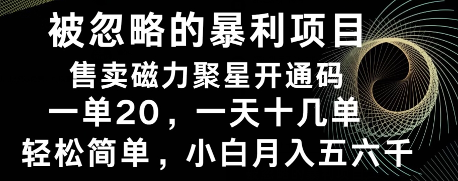被忽略的暴利项目！售卖磁力聚星开通码，一单20，一天十几单，轻松月入五六千-优优云网创