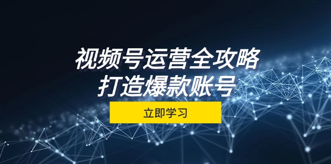 视频号运营全攻略，从定位到成交一站式学习，视频号核心秘诀，打造爆款…-优优云网创