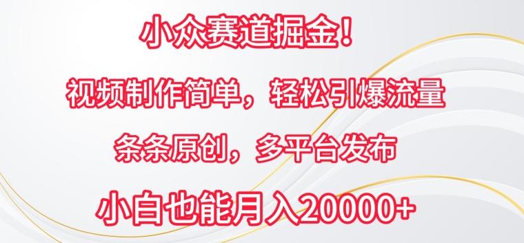 小众赛道掘金，视频制作简单，轻松引爆流量，条条原创，多平台发布【揭秘】-优优云网创