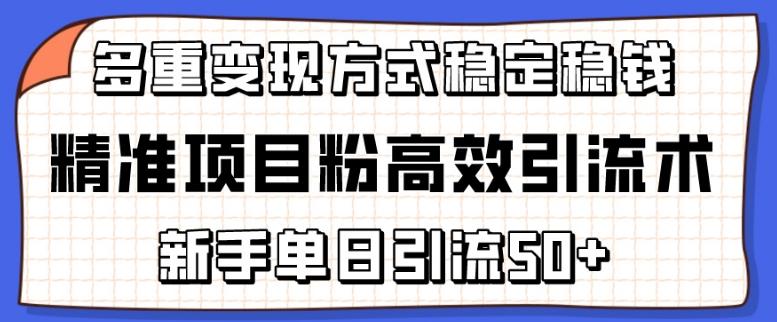 精准项目粉高效引流术，新手单日引流50+，多重变现方式稳定赚钱【揭秘】-优优云网创