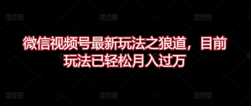 微信视频号最新玩法之狼道，目前玩法已轻松月入过万【揭秘】-优优云网创