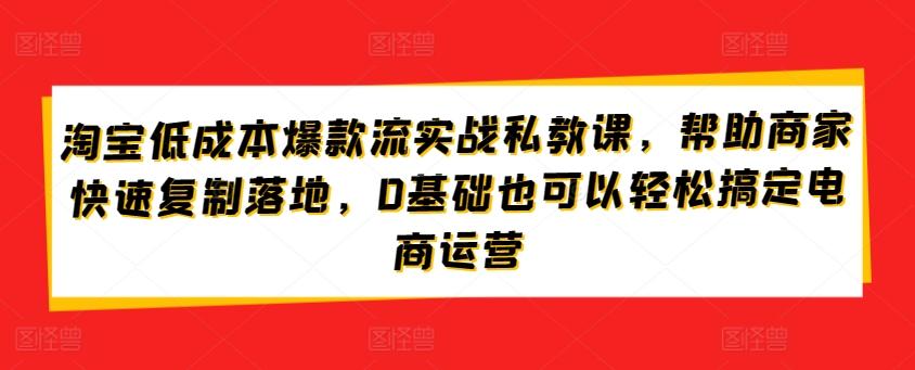 淘宝低成本爆款流实战私教课，帮助商家快速复制落地，0基础也可以轻松搞定电商运营-优优云网创