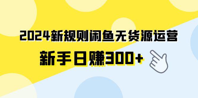 (9522期)2024新规则闲鱼无货源运营新手日赚300+-优优云网创
