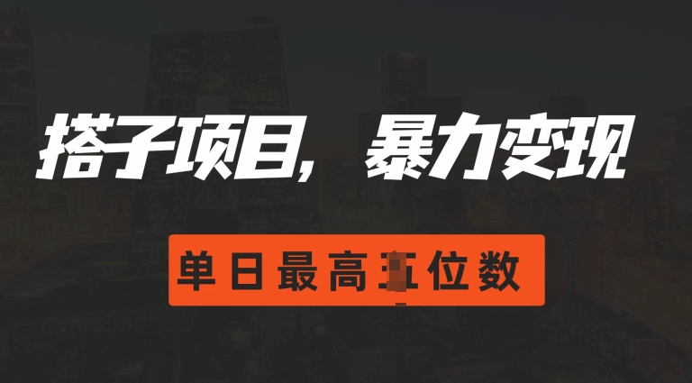 2024搭子玩法，0门槛，暴力变现，单日最高破四位数【揭秘】-优优云网创