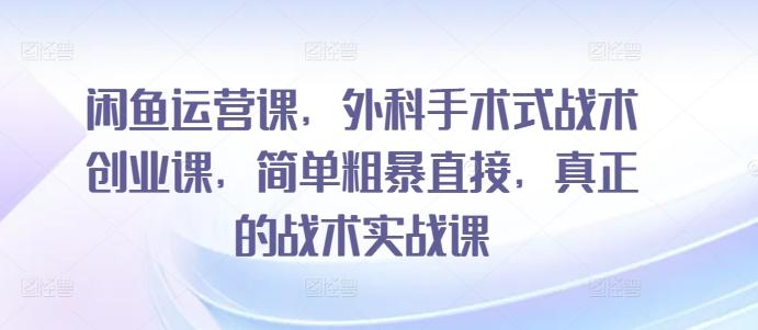 闲鱼运营课，外科手术式战术创业课，简单粗暴直接，真正的战术实战课-优优云网创