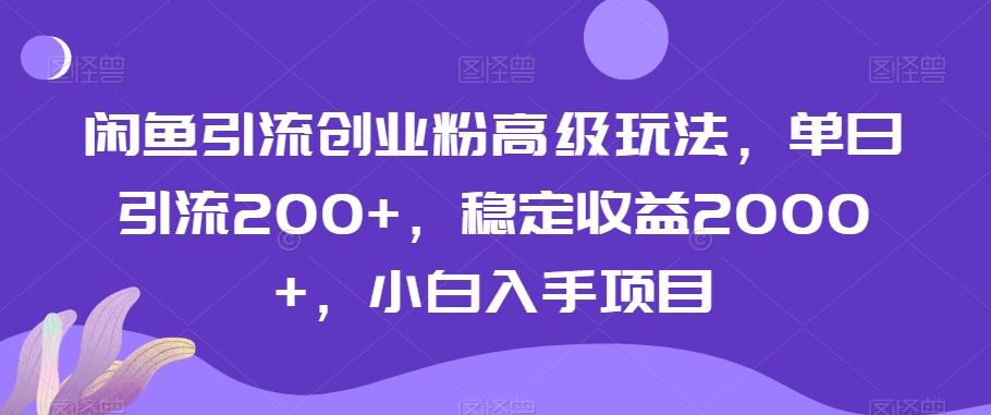 闲鱼引流创业粉高级玩法，单日引流200+，稳定收益2000+，小白入手项目-优优云网创