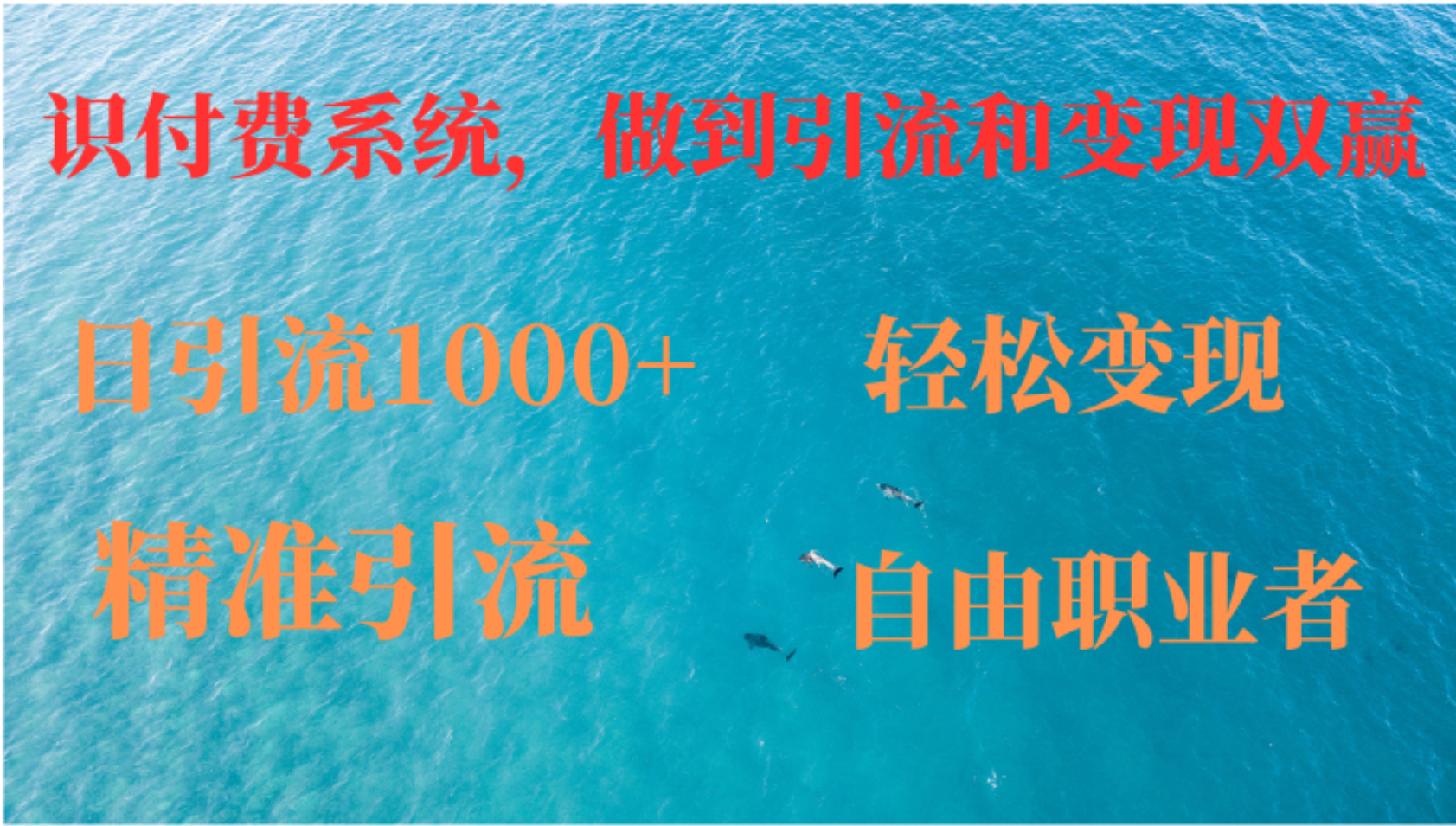 如何搭建自己的知识付费系统，做到引流和变现双赢-优优云网创