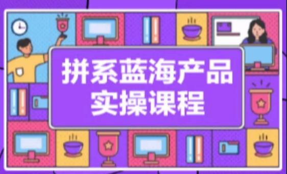 拼系冷门蓝海产品实操课程，从注册店铺到选品上架到流量维护环环相扣-优优云网创