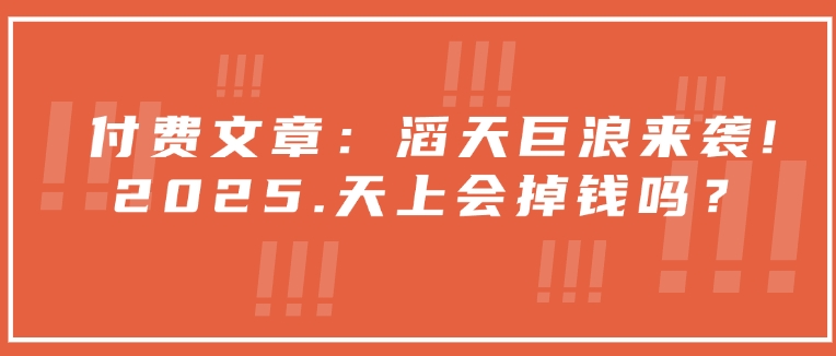 付费文章：滔天巨浪来袭！2025天上会掉钱吗？-优优云网创