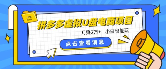 拼多多虚拟U盘电商红利项目：月赚2万+，新手小白也能玩-优优云网创