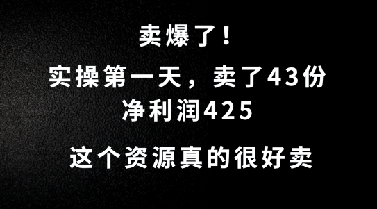 这个资源，需求很大，实操第一天卖了43份，净利润425【揭秘】-优优云网创
