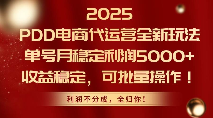 （14839期）2025PDD电商代运营全新玩法，单号月稳定利润5000+，收益稳定，可批量操作-优优云网创