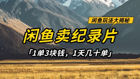 闲鱼卖纪录片1单3块钱，1天几十单，项目稳定有潜力-优优云网创