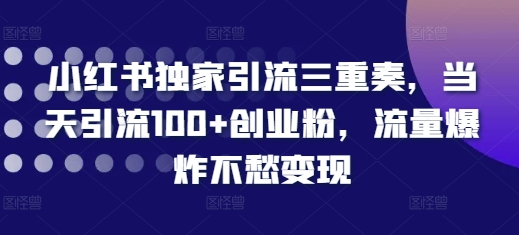 小红书独家引流三重奏，当天引流100+创业粉，流量爆炸不愁变现【揭秘】-优优云网创