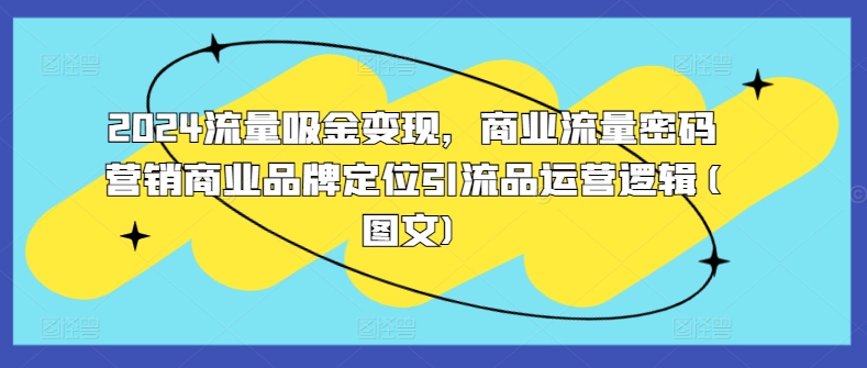 2024流量吸金变现，商业流量密码营销商业品牌定位引流品运营逻辑(图文)-优优云网创