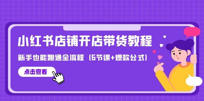 (9883期)最新小红书店铺开店带货教程，新手也能跑通全流程(6节课+爆款公式)-优优云网创