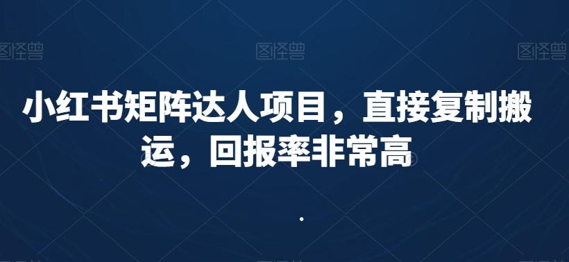 小红书矩阵达人项目，直接复制搬运，回报率非常高-优优云网创