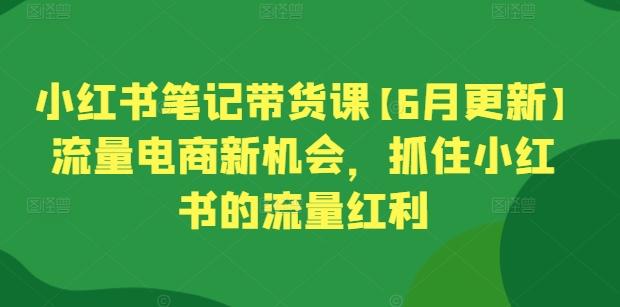 小红书笔记带货课【6月更新】流量电商新机会，抓住小红书的流量红利-优优云网创