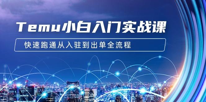 (9295期)Temu小白入门实战课：跨境拼多多电商培训 快速跑通从入驻到出单全流程-12节-优优云网创