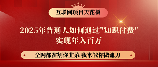 镰刀训练营超级IP合伙人，25年普通人如何通过“知识付费”年入百万！-优优云网创