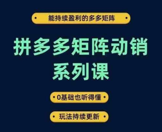 拼多多矩阵动销系列课，能持续盈利的多多矩阵，0基础也听得懂，玩法持续更新-优优云网创