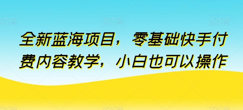 全新蓝海项目，零基础快手付费内容教学，小白也可以操作【揭秘】-优优云网创