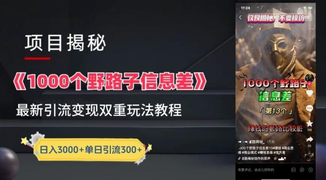 一千个野路子信息差最新玩法教程-变现+引流的玩法具体拆解【揭秘】-优优云网创