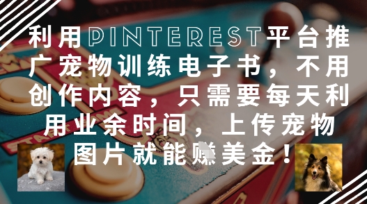 利用Pinterest平台推广宠物训练电子书，不用创作内容，只需要每天利用业余时间，上传宠物图片就能挣美金!-优优云网创