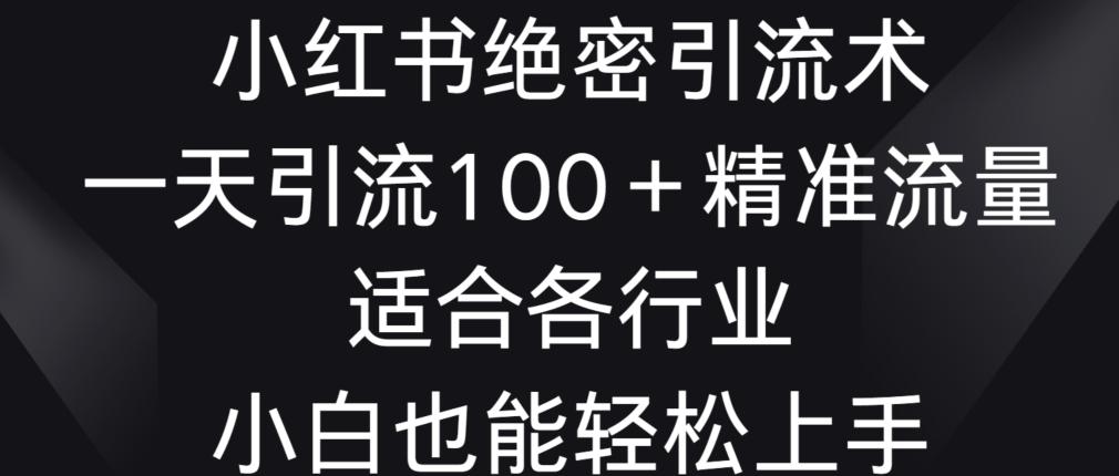 小红书绝密引流术，一天引流100+精准流量，适合各个行业，小白也能轻松上手【揭秘】-优优云网创