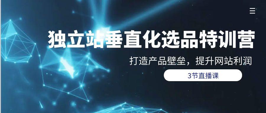 (9925期)独立站-垂直化选品训练营，打造产品壁垒，提升网站利润(3节直播课)-优优云网创