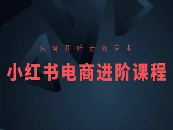 从零开始走向专业，小红书电商进阶课程-优优云网创