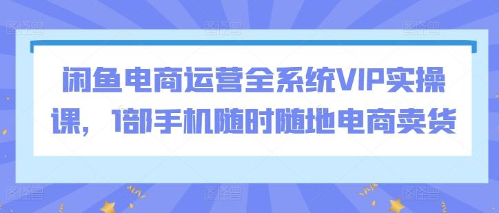闲鱼电商运营全系统VIP实操课，1部手机随时随地电商卖货-优优云网创