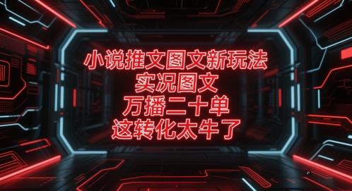 小说推文图文新玩法，实况图文，万播二十单，这转化太牛了！-优优云网创