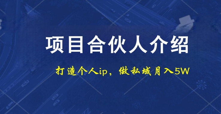 项目合伙人项目，打造个人IP，做私域月入5W，小白勿扰-优优云网创
