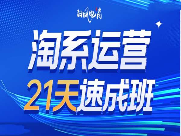 淘系运营21天速成班35期，年前最后一波和2025方向-优优云网创