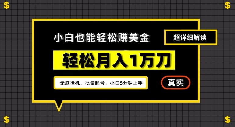 谷歌看广告撸美金2.0，无脑挂机，多号操作，月入1万刀【揭秘】-优优云网创
