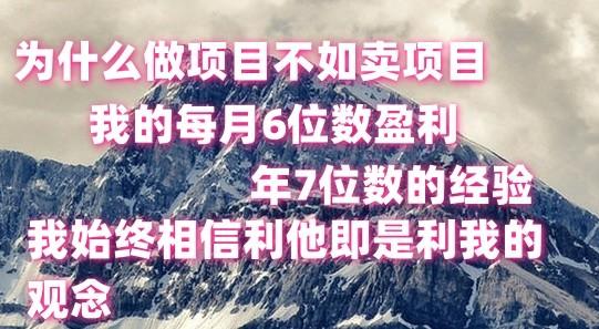做项目不如卖项目，每月6位数盈利，年7位数经验-优优云网创