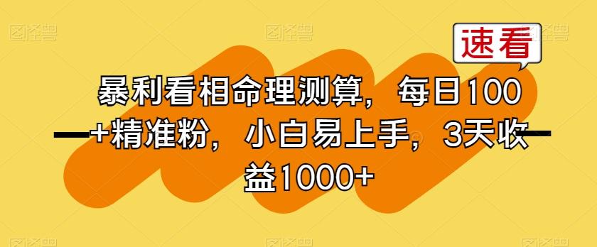 暴利看相命理测算，每日100+精准粉，小白易上手，3天收益1000+【揭秘】-优优云网创