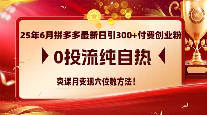 （14989期）25年6月拼多多最新日引300+付费创业粉，0投流纯自热 卖课月变现六位数方法-优优云网创