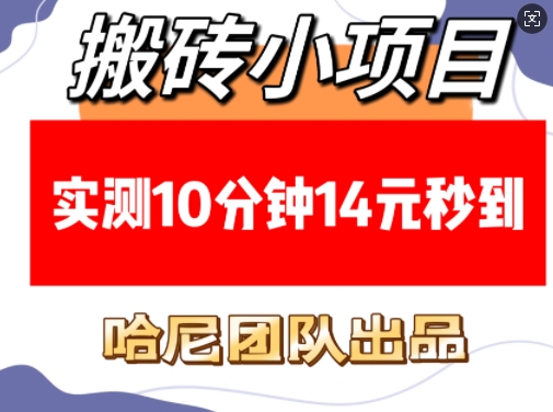 搬砖小项目，实测10分钟14元秒到，每天稳定几张(赠送必看稳定)-优优云网创