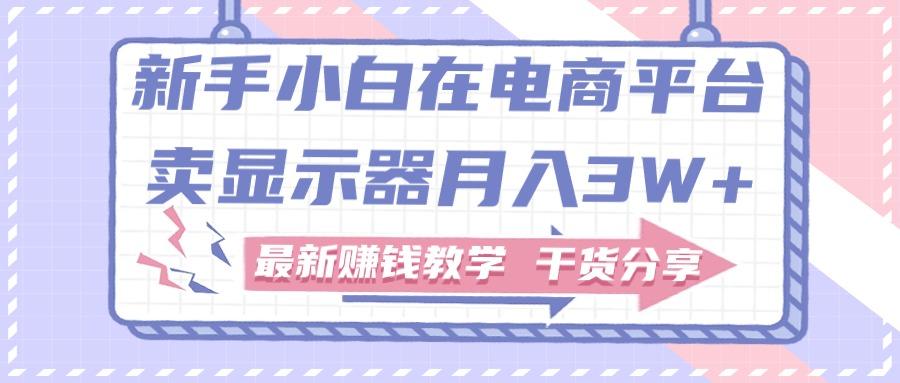 新手小白如何做到在电商平台卖显示器月入3W+，最新赚钱教学干货分享-优优云网创