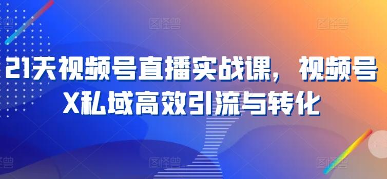 21天视频号直播实战课，视频号X私域高效引流与转化-优优云网创