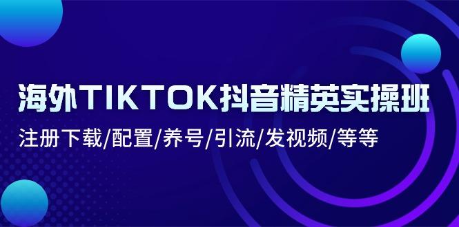 海外TIKTOK抖音精英实操班：注册下载/配置/养号/引流/发视频/等等-优优云网创
