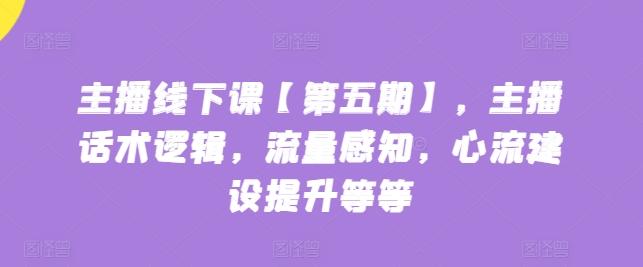 主播线下课【第五期】，主播话术逻辑，流量感知，心流建设提升等等-优优云网创